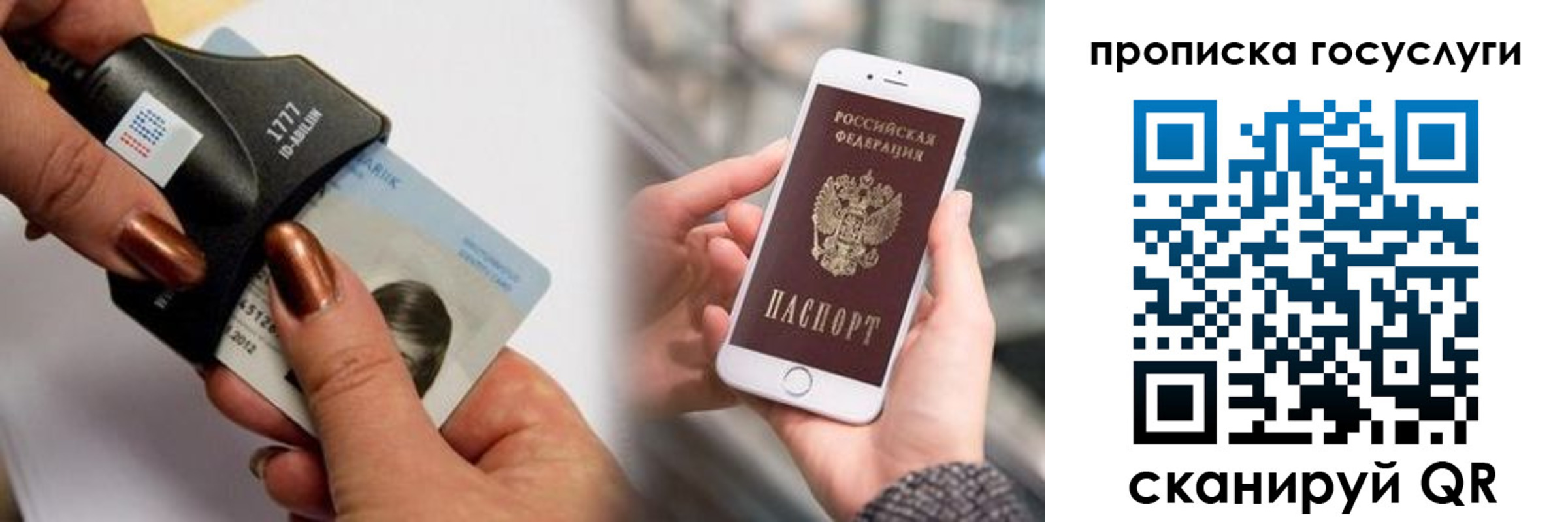 временная регистрация в квартире в Курской области